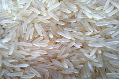  Basmati Rice