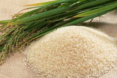  Basmati Rice